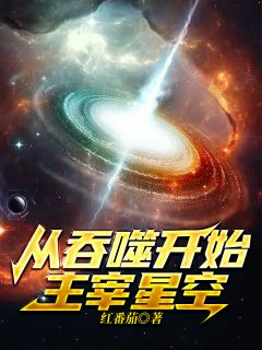 镇国世子爷小说唐毅叶星魂（已完结全集完整版大结局）唐毅叶星魂小说全文阅读笔趣阁