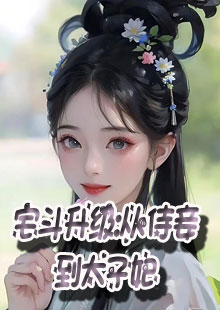 宅斗升级：从侍妾到太子妃